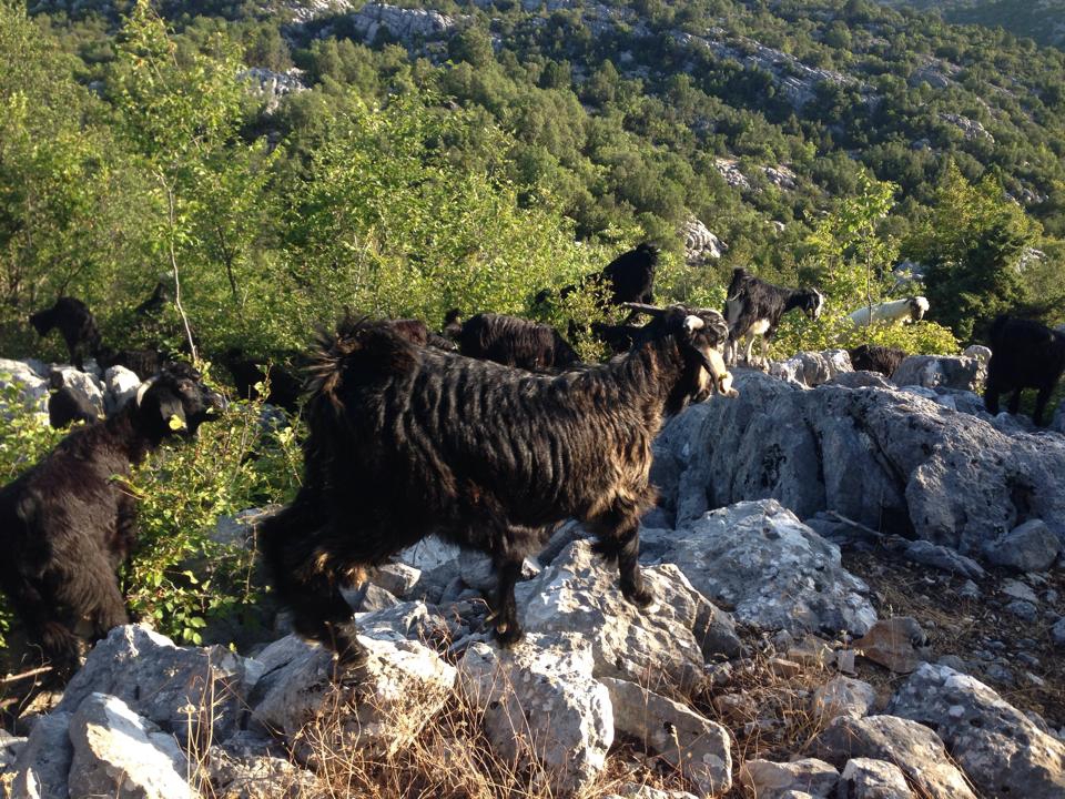 Antalya Akseki Çanakpınar Köyü Resimleri 40