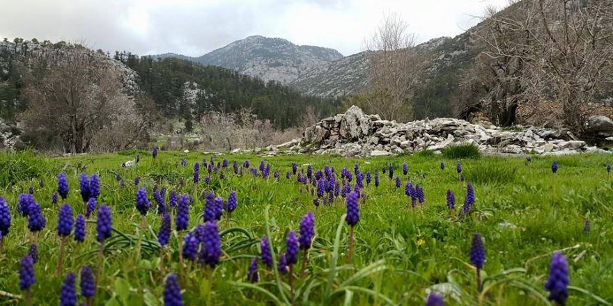 Antalya Akseki Çanakpınar Köyü Resimleri