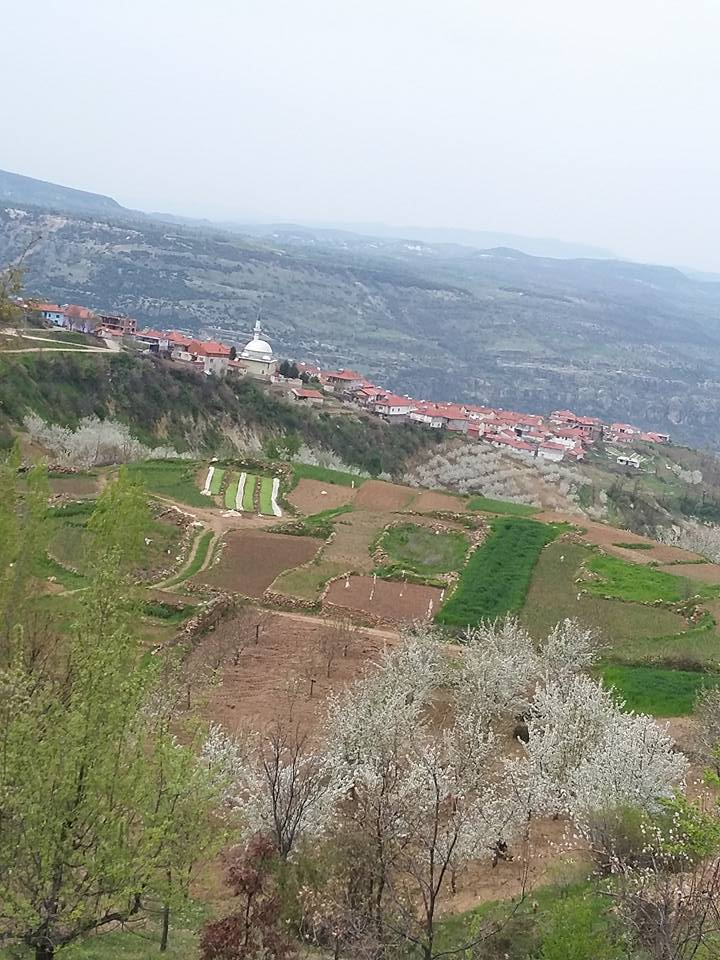 Selendi Hacılar Köyü Resimleri 11