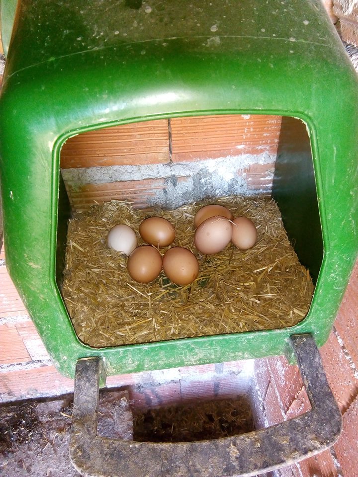 Selendi Hacılar Köyü Resimleri 18