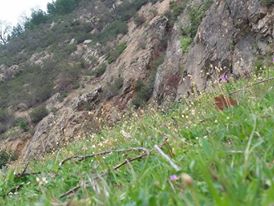 Selendi Hacılar Köyü Resimleri 3