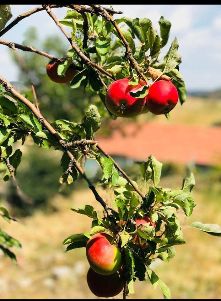 Selendi Hacılar Köyü Resimleri 9