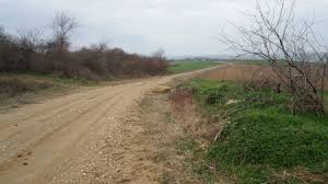 Süleymanpaşa Oğuzlu köyü Resimleri 4