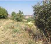 Süleymanpaşa Ormanlı köyü resimleri 4