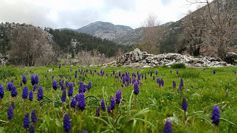 Antalya Akseki Çanakpınar Köyü Resimleri 11