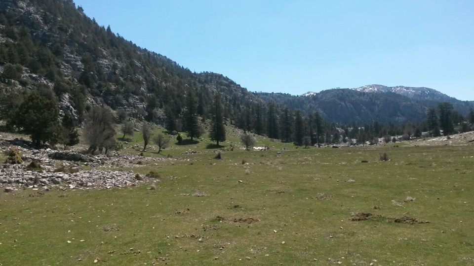 Antalya Akseki Çanakpınar Köyü Resimleri 2