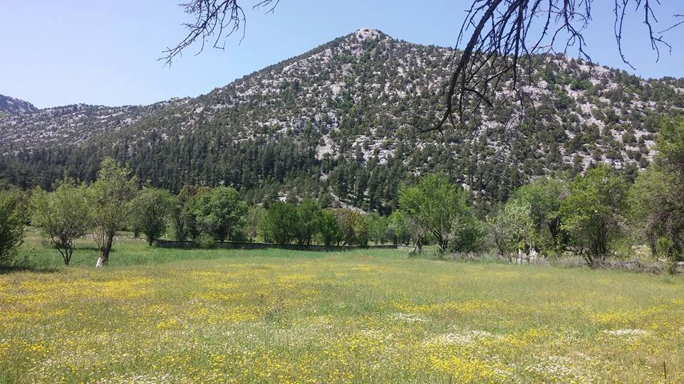 Antalya Akseki Çanakpınar Köyü Resimleri 3