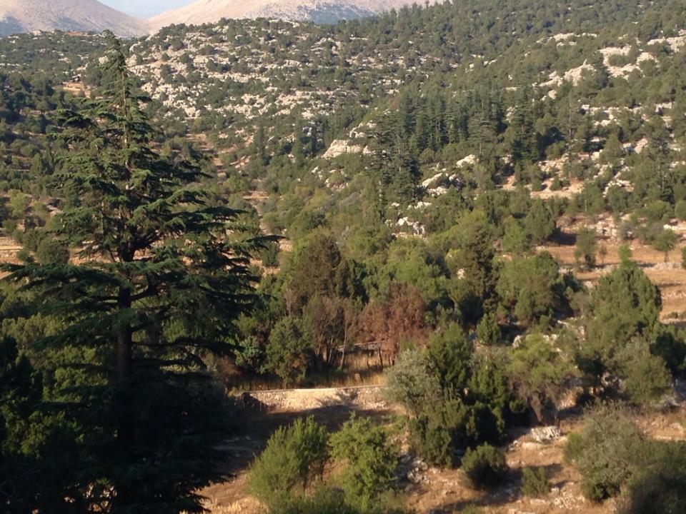 Antalya Akseki Çanakpınar Köyü Resimleri 34