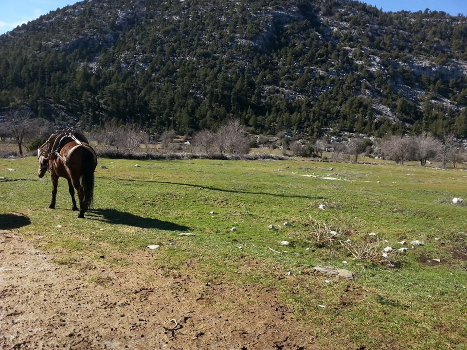 Antalya Akseki Çanakpınar Köyü Resimleri 35