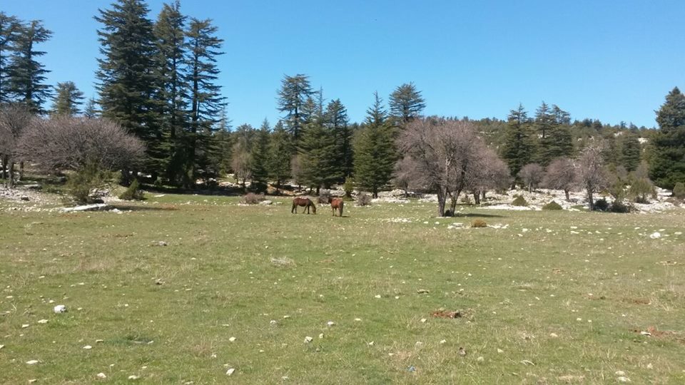 Antalya Akseki Çanakpınar Köyü Resimleri 4