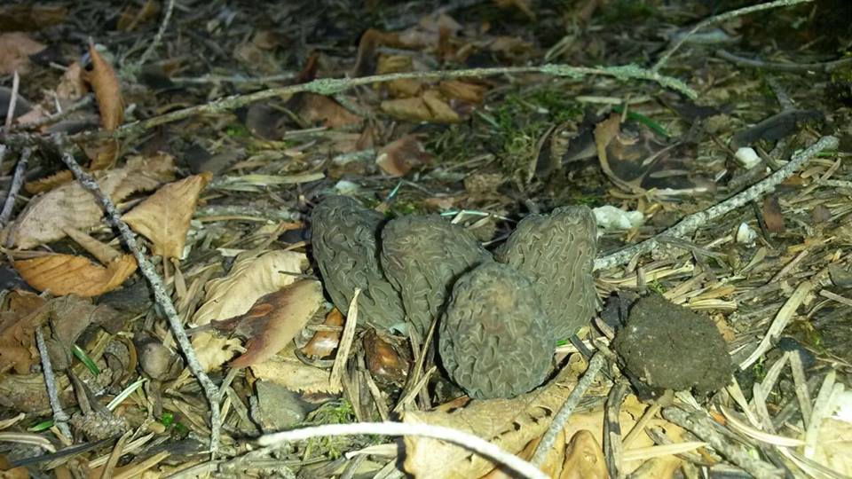 Antalya Akseki Çanakpınar Köyü Resimleri 5