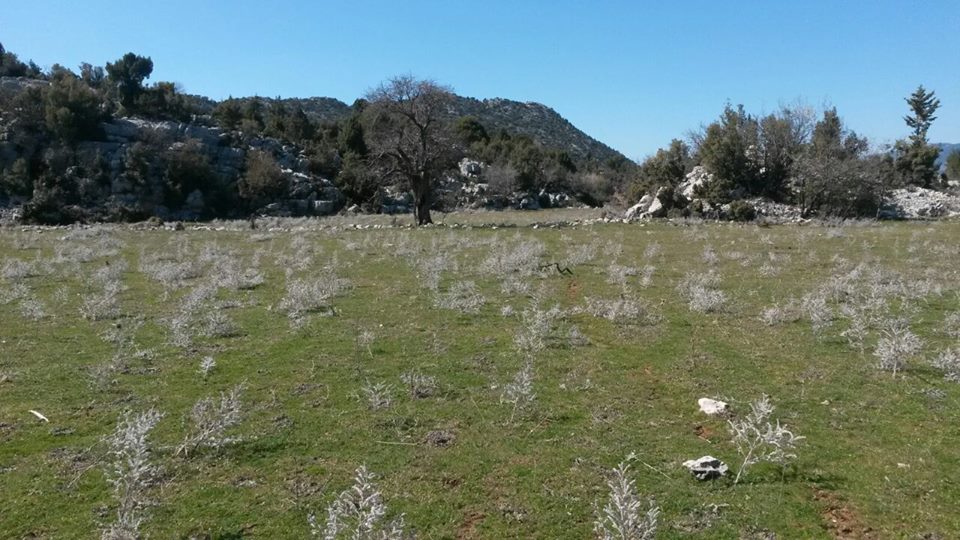 Antalya Akseki Çanakpınar Köyü Resimleri 7