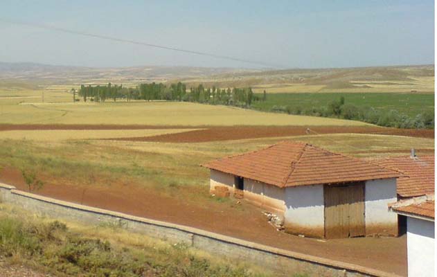 Çorum-Sungurlu Çavuşcu Köyü Resimleri 13