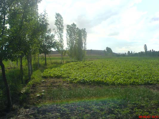 Çorum-Sungurlu Çavuşcu Köyü Resimleri 19