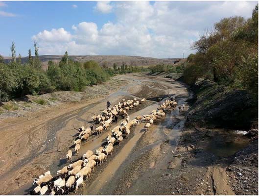 Çorum-Sungurlu Çavuşcu Köyü Resimleri 6