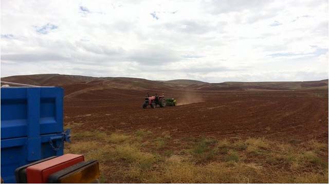 Çorum-Sungurlu Çavuşcu Köyü Resimleri 7