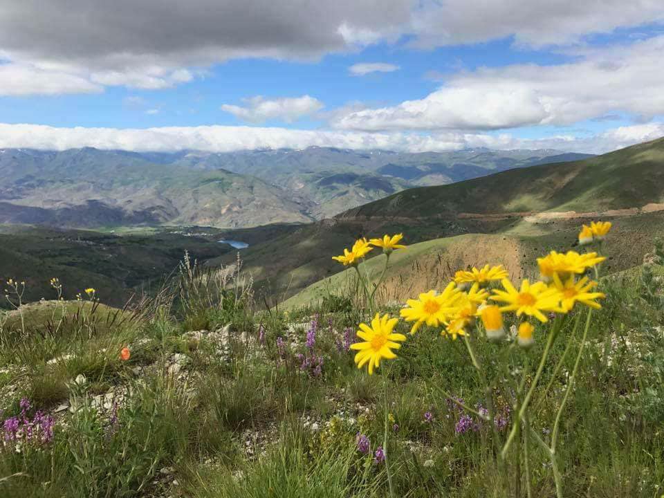 Pazaryolu Sadaka Köyü Resimleri 7
