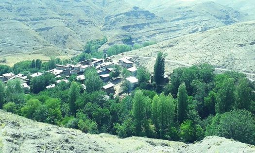 Pazaryolu Sadaka Köyü Resimleri 8