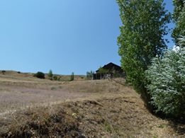 Pazaryolu Sergenkaya Köyü Resimleri 7