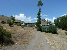 Pazaryolu Sergenkaya Köyü Resimleri 8