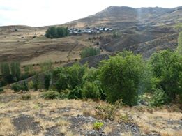 Pazaryolu Sergenkaya Köyü Resimleri 9