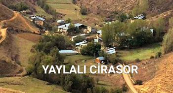 Pazaryolu Yaylalı Köyü Resimleri 3