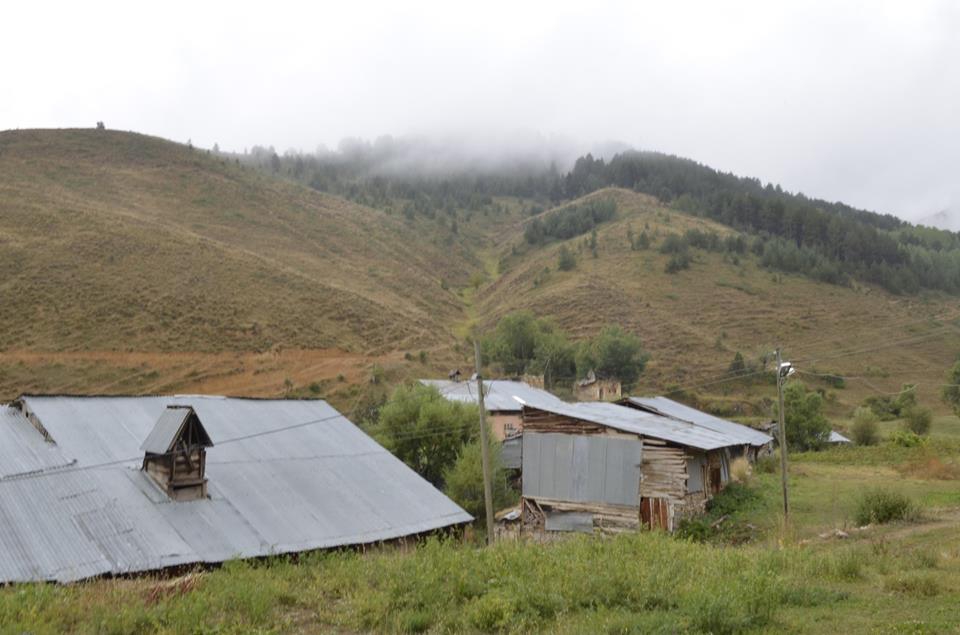 Pazaryolu Yaylalı Köyü Resimleri 4