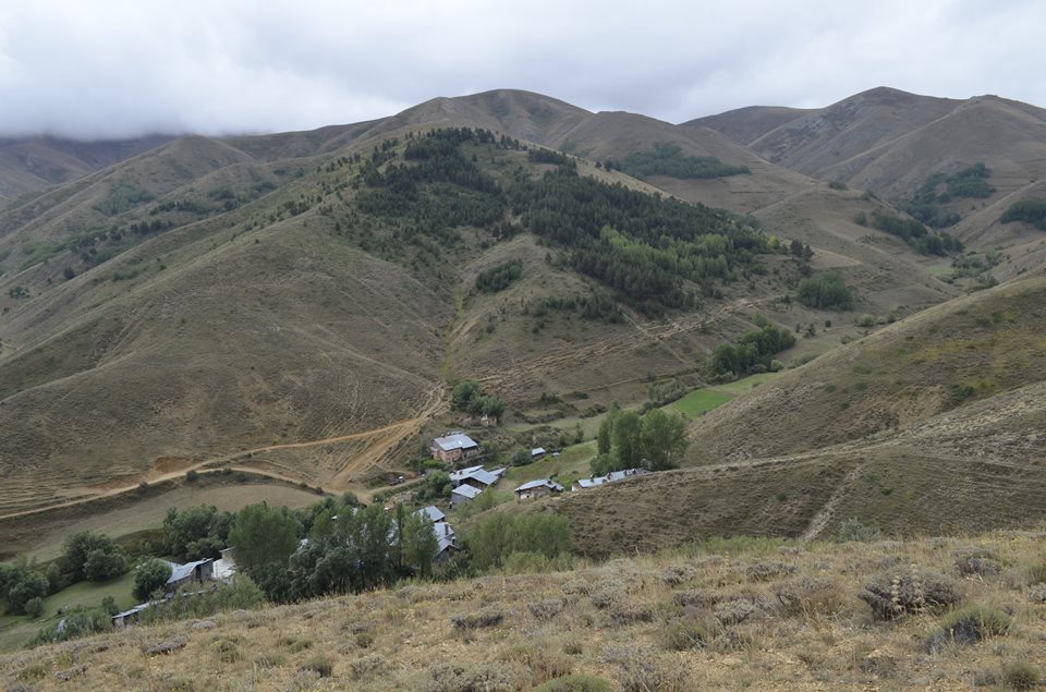 Pazaryolu Yaylalı Köyü Resimleri 8