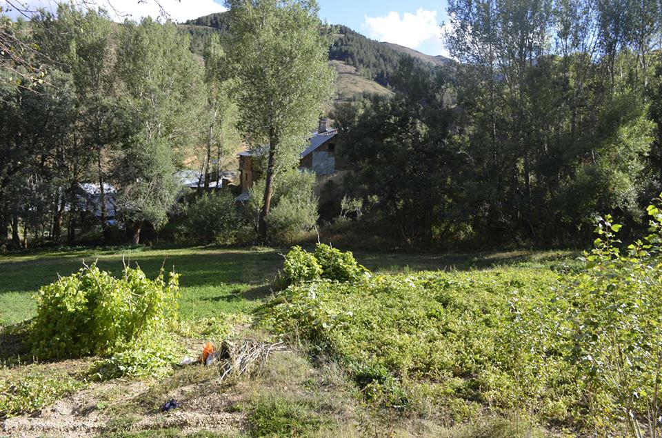 Pazaryolu Yaylalı Köyü Resimleri 9