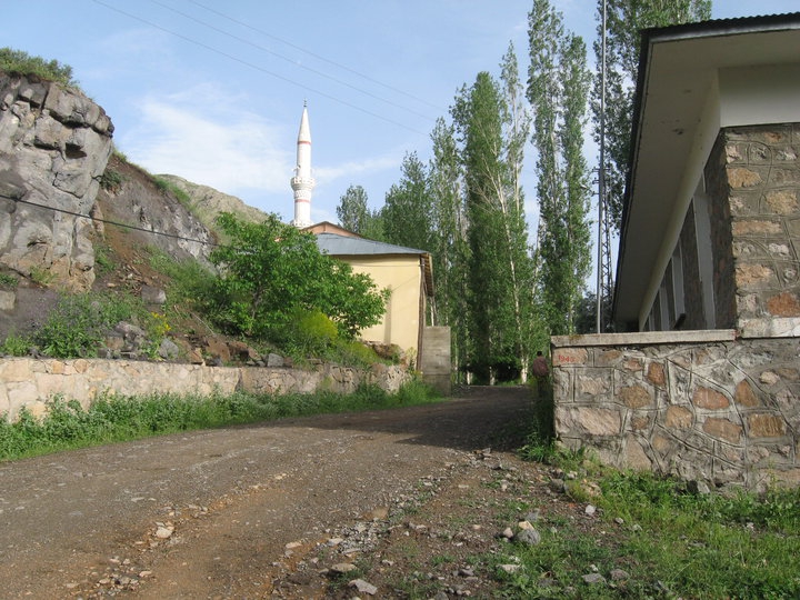 Pazaryolu Yiğitbaşı Köyü Resimleri 6