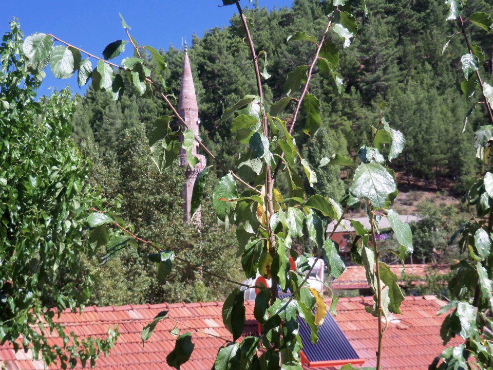 Antalya Akseki Çınardibi Köyü Resimleri 19