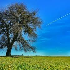 Süleymanpaşa Otmanlı Köyü Resimleri 1