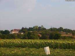 Süleymanpaşa Otmanlı Köyü Resimleri 4