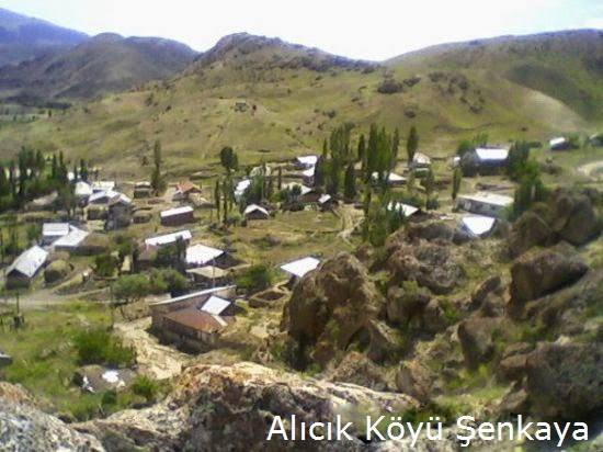 Şenkaya Alıcık Köyü Resimleri 2