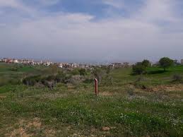Süleymanpaşa Selçuk Köyü Resimleri 1