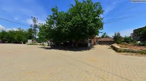 Süleymanpaşa Semetli Köyü Resimleri 2