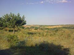 Süleymanpaşa Seymenli Köyü Resimleri 5