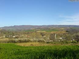 Süleymanpaşa Tatarlı Köyü Resimleri 5