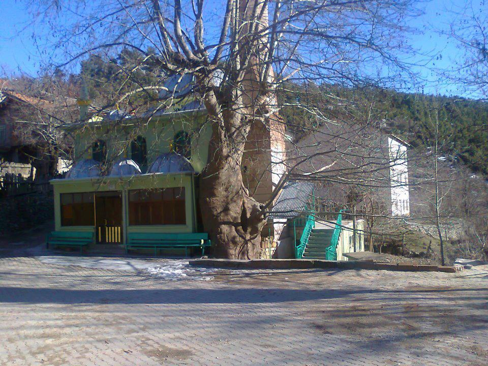 Antalya Akseki Çınardibi Köyü Resimleri 28