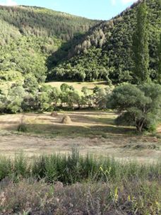 Şenkaya Aydoğdu Köyü Resimleri 3