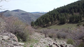 Şenkaya Aydoğdu Köyü Resimleri 6