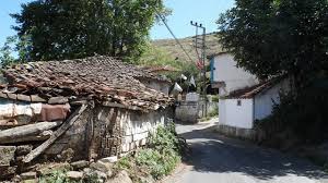 Süleymanpaşa Yeniköy Köyü Resimleri 5