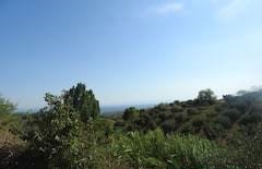 Süleymanpaşa Yeniköy Köyü Resimleri 7