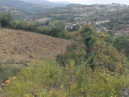 Süleymanpaşa Yeniköy Köyü Resimleri 8