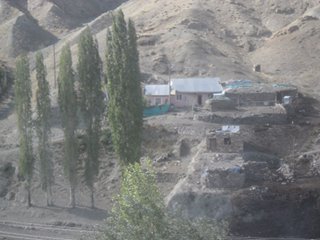 Şenkaya Bereketli Köyü Resimleri 6