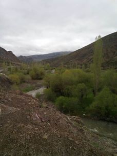 Şenkaya Bereketli Köyü Resimleri 9