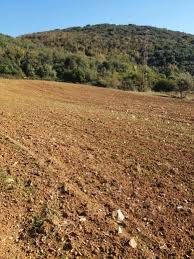 Şarköy Çengelli Köyü Resimleri 1