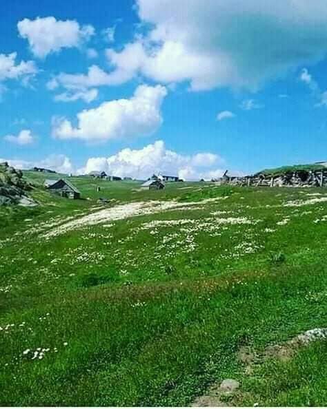 Şenkaya Çamlıalan Köyü Resimleri 3