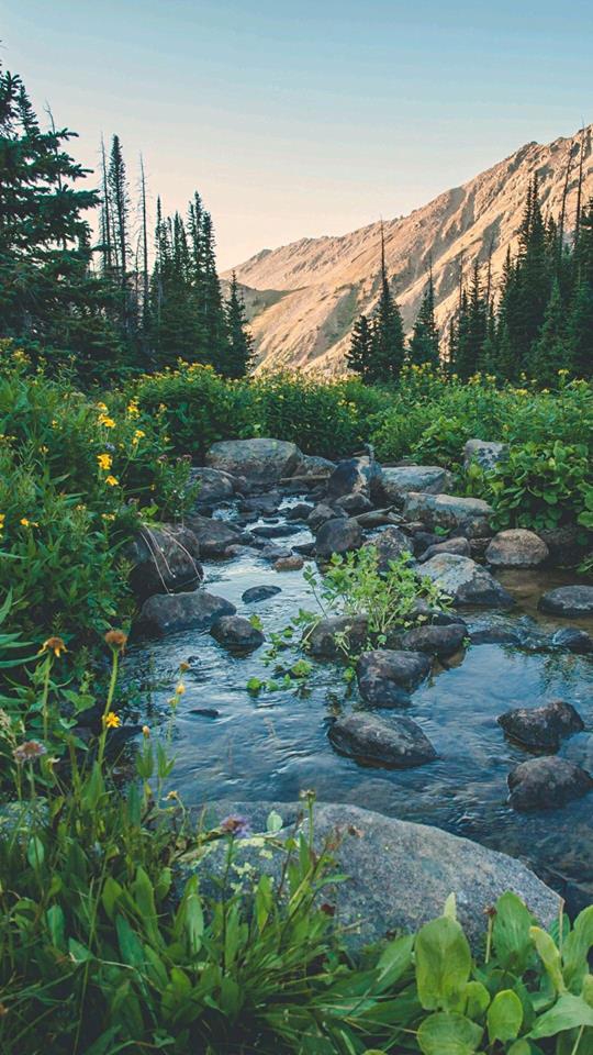 Şenkaya Çamlıalan Köyü Resimleri 7