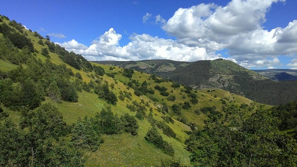 Şenkaya Çamlıalan Köyü Resimleri 8